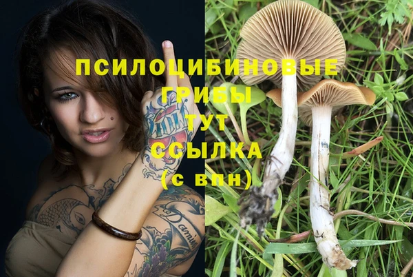 бутират Вяземский